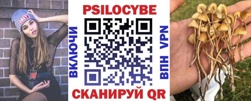 Псилоцибиновые грибы GOLDEN TEACHER  Каменка 